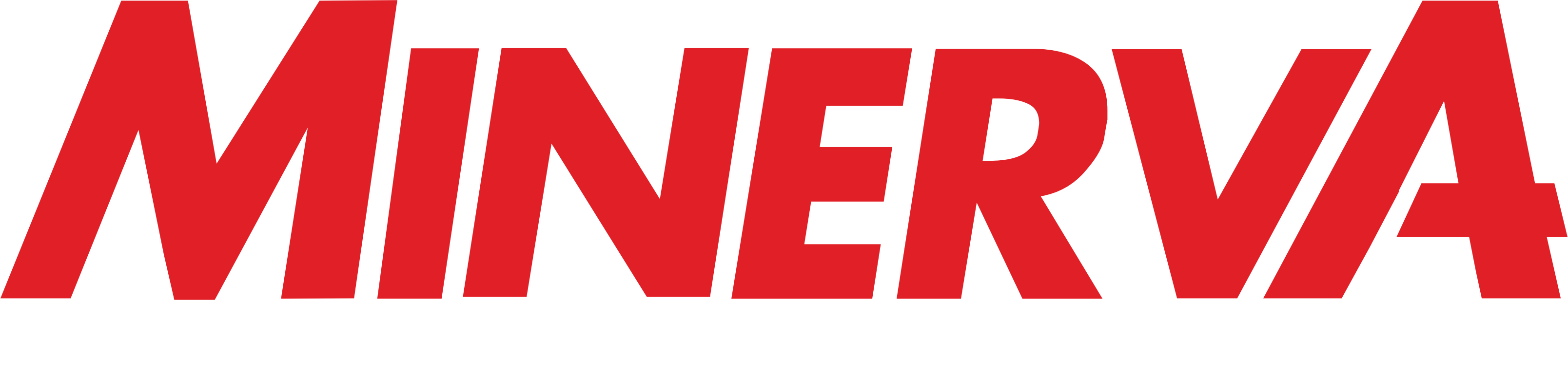 Minerva Healthcare